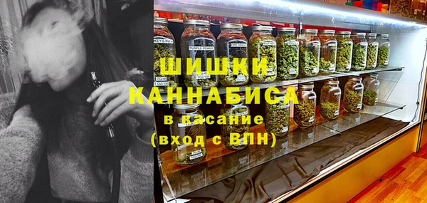 дживик Белокуриха