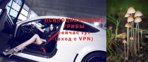 дживик Белокуриха
